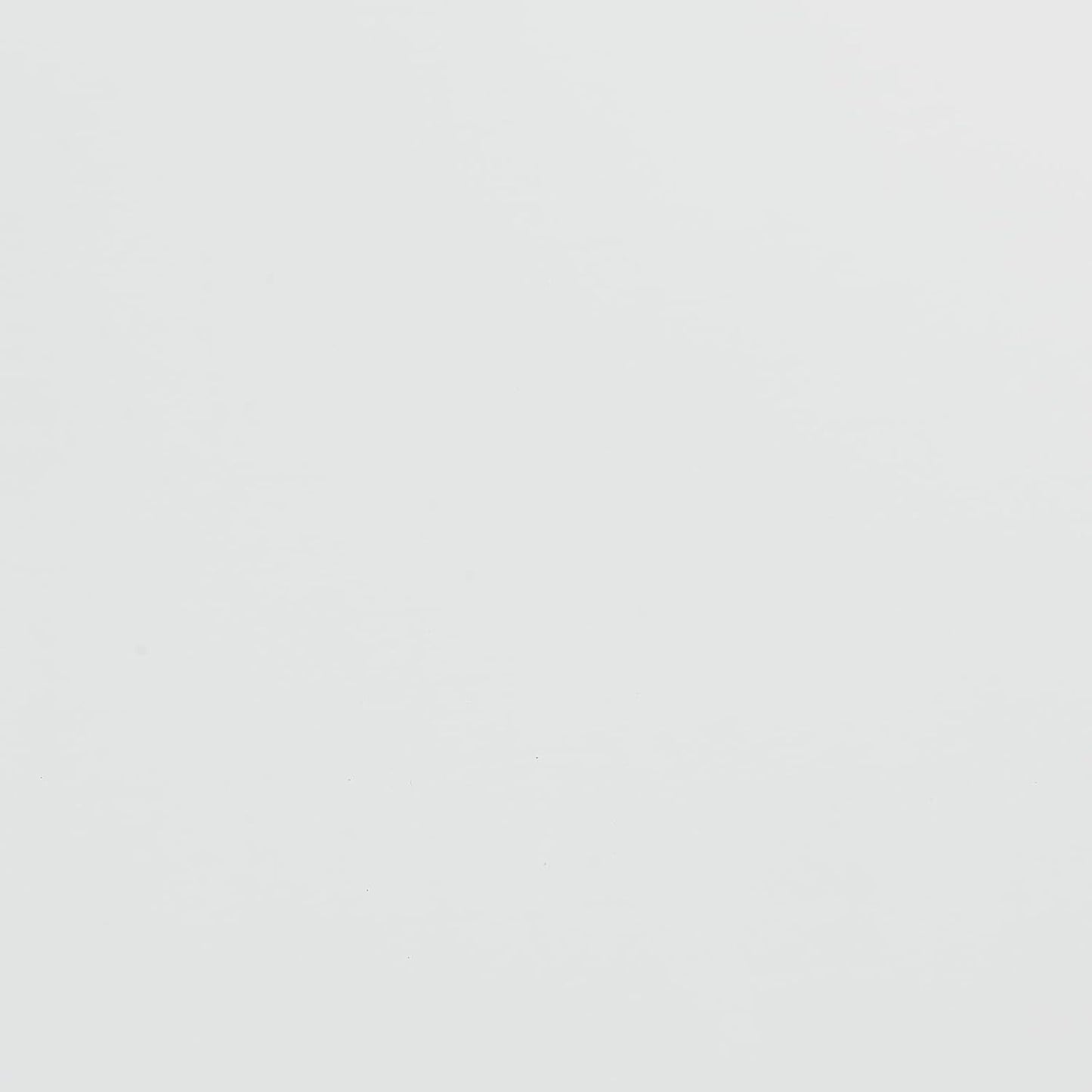 Ant Smart Adhesive Permanent Vinyl Compatible with Cricut Explore and Maker Series Without Cutting Mats, Create DIY Projects, Decals, Stickers & More (White, 13inch x 50ft)