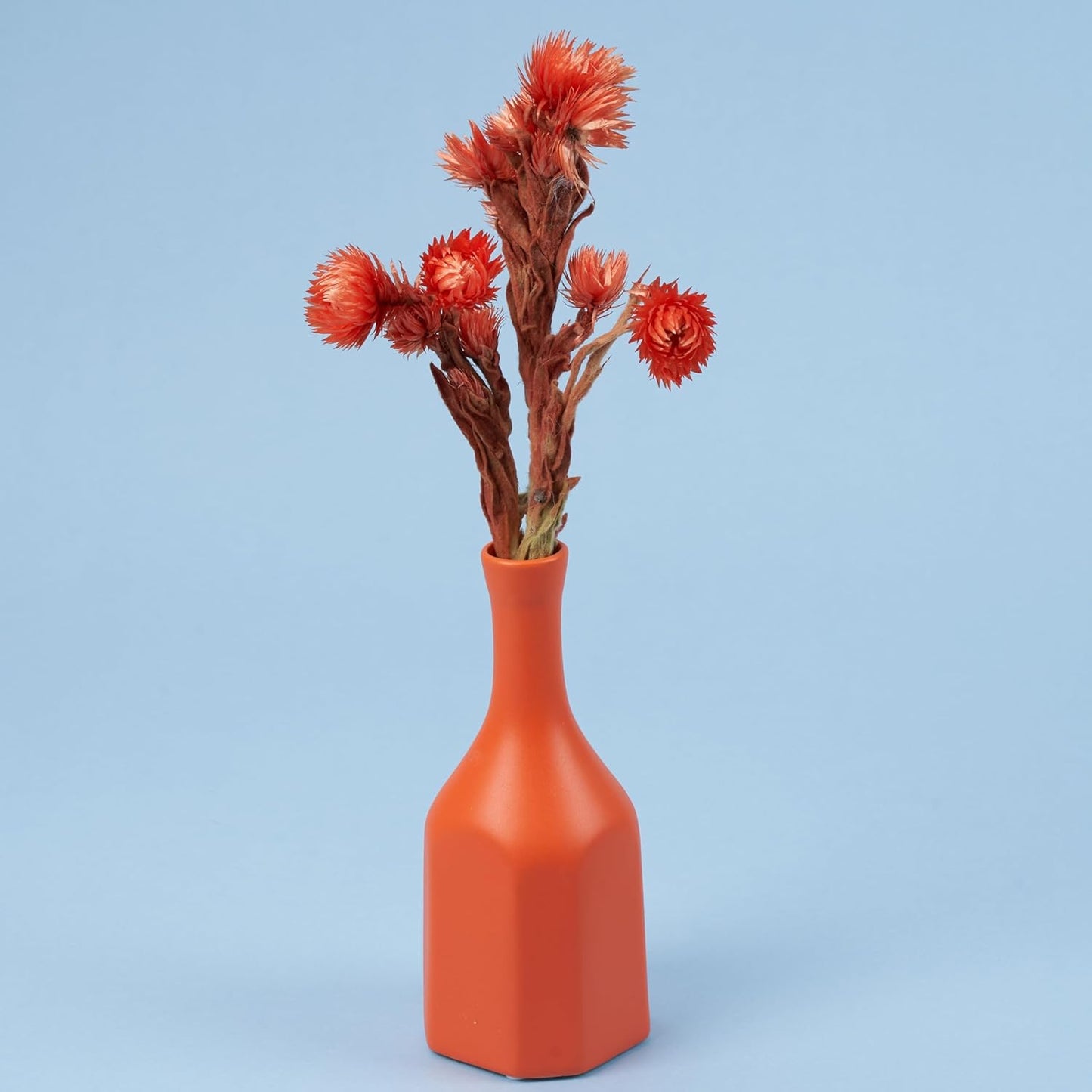 Seamless Photography Background Paper Roll, Blue Photo Paper Backdrop for Photography, Video and Streaming (Sky Blue, 107" x32')