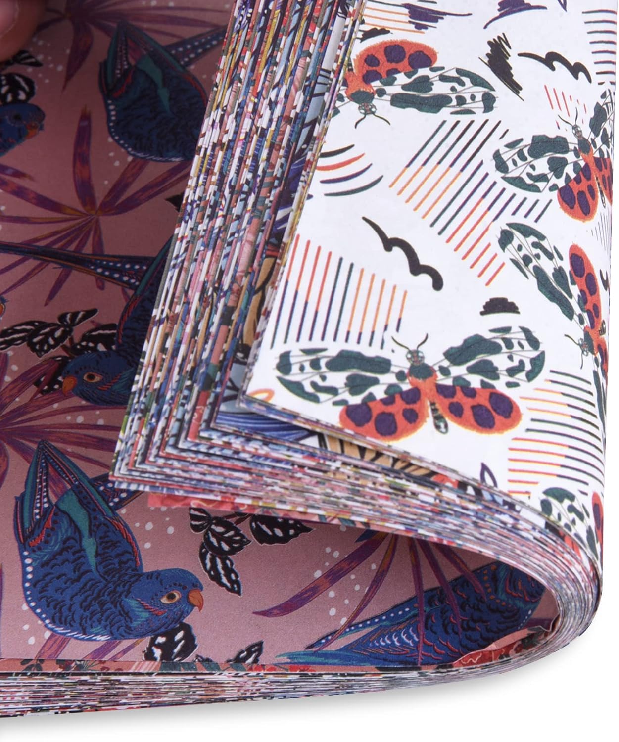 Origami Paper Kit 50 Sheets 6 Inch Square Double Sided Color 10 Vivid Colors for Hand Crafts Origami Paper Arts Creativity.Flowers and Birds