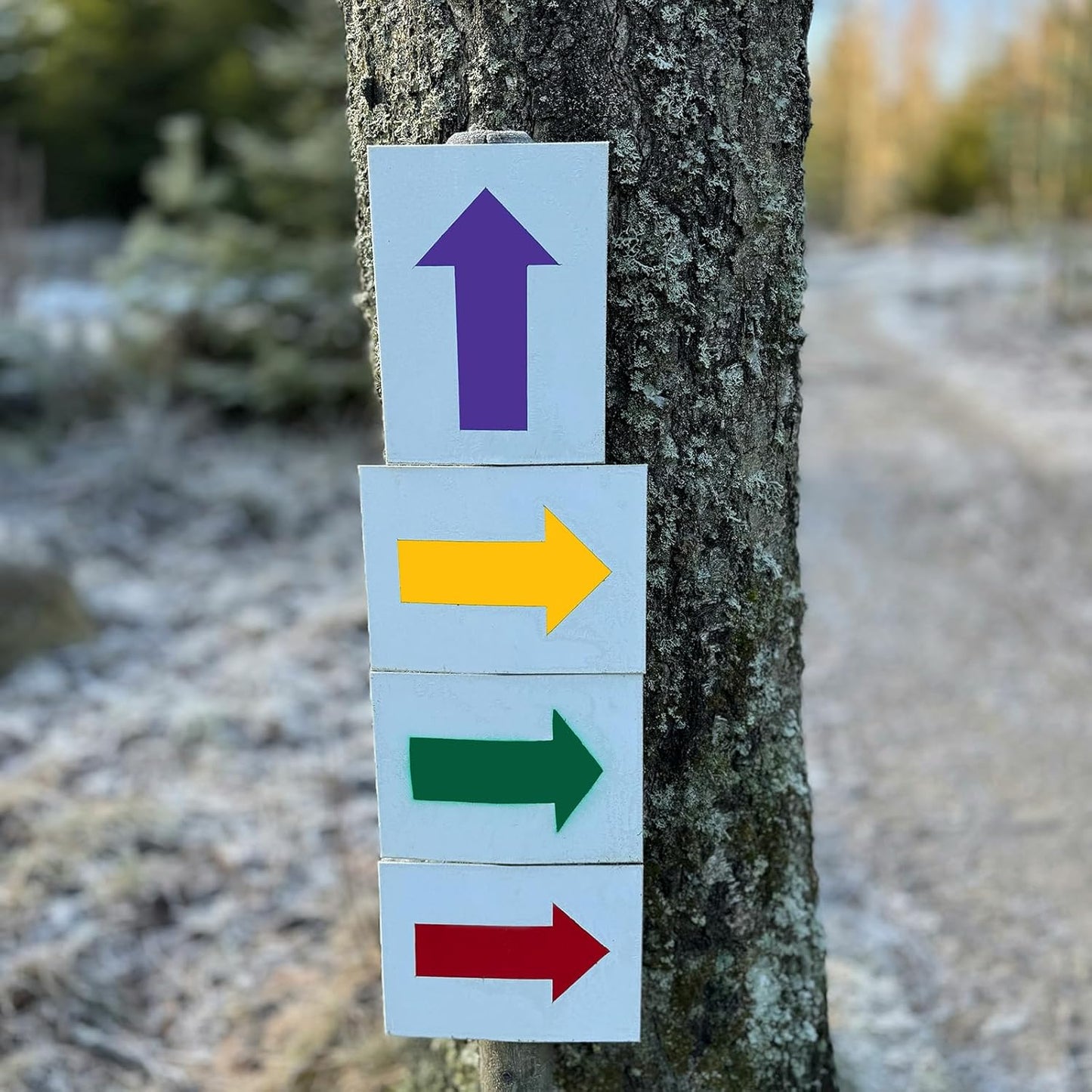 Ant Smart Adhesive Permanent Vinyl Compatible with Cricut Explore and Maker Series Without Cutting Mats, Create DIY Projects, Decals, Stickers & More (Purple, 13inch x 5ft)