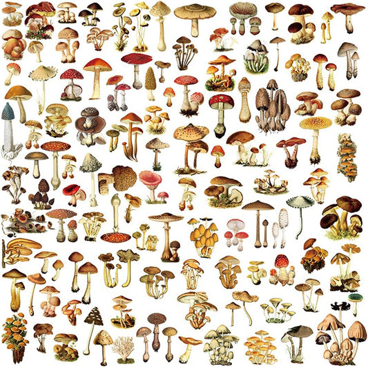 Vintage Vellum Stickers Floral Plants Elements Scrapbooking Supplies Flowers Botanic Natural Translucent Paper Self-Adhesive Junk-Journal Items (Small Mushroom)